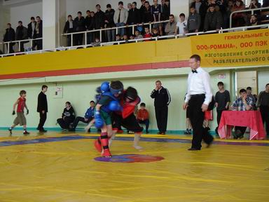 12:40 Открылись чемпионат и первенство Чувашии по ушу-саньшоу